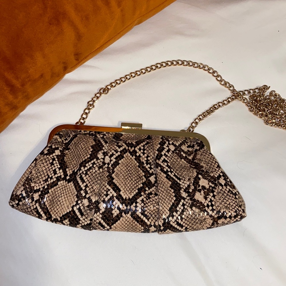 Snake skin purse